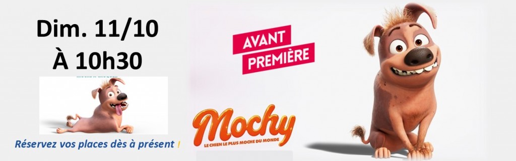 actualité MOCHY